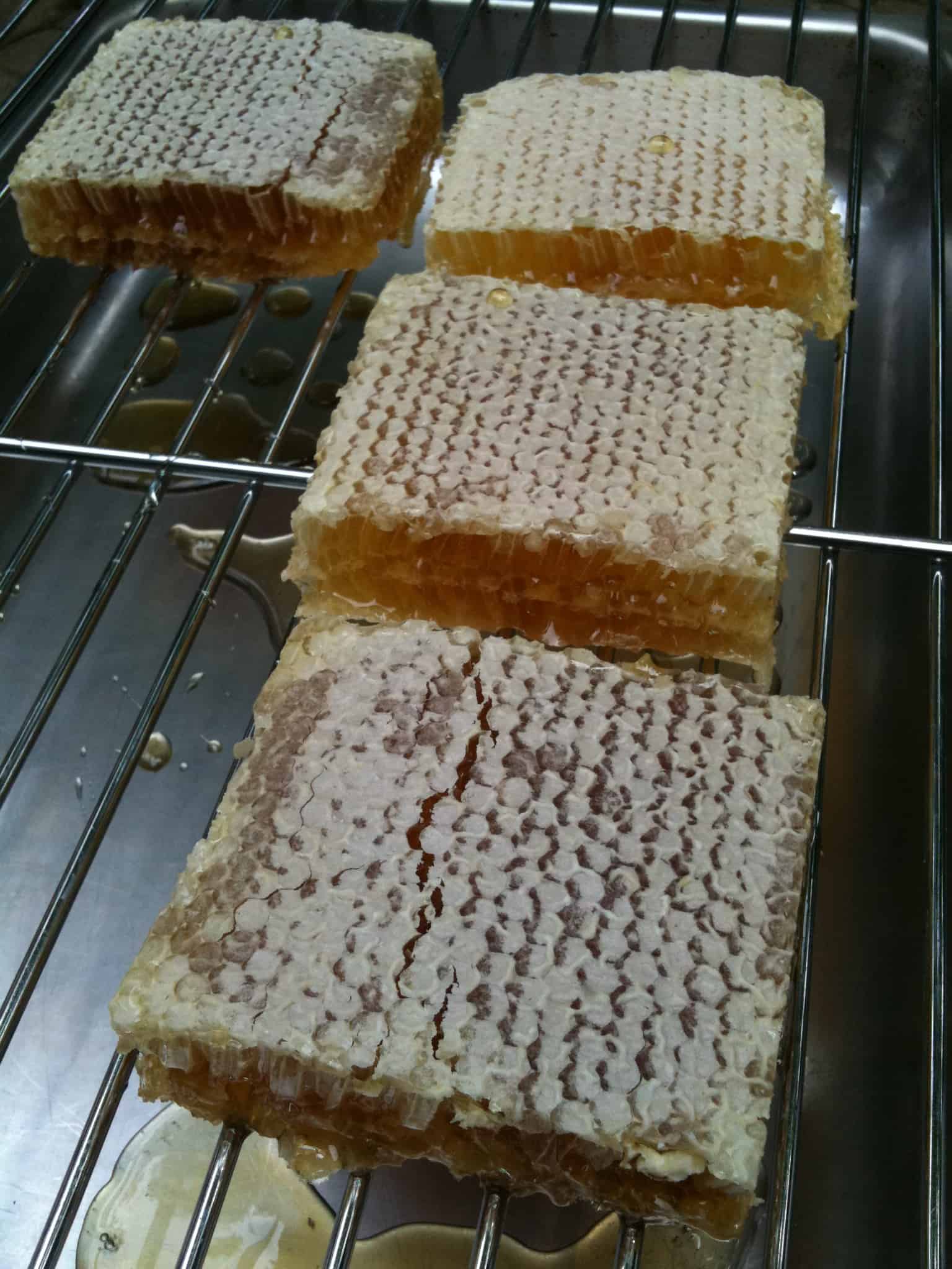Comb Honey: Right From the Hive!