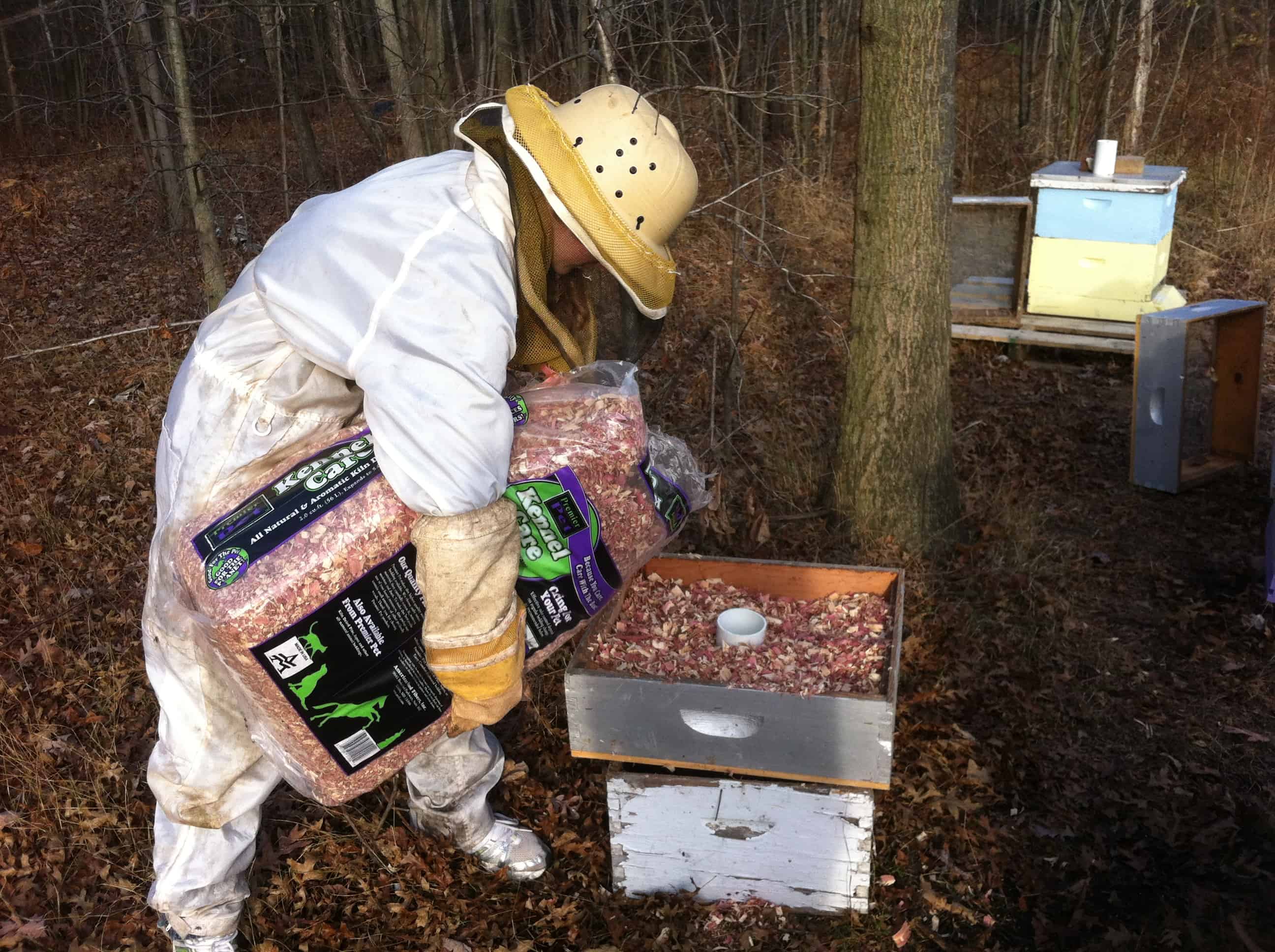 Wintering Bees In Michigan Hudsonville Honey