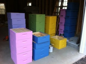 Best way to get your teenage daughters to paint hive bodies?  Pick out cool bright colors. 