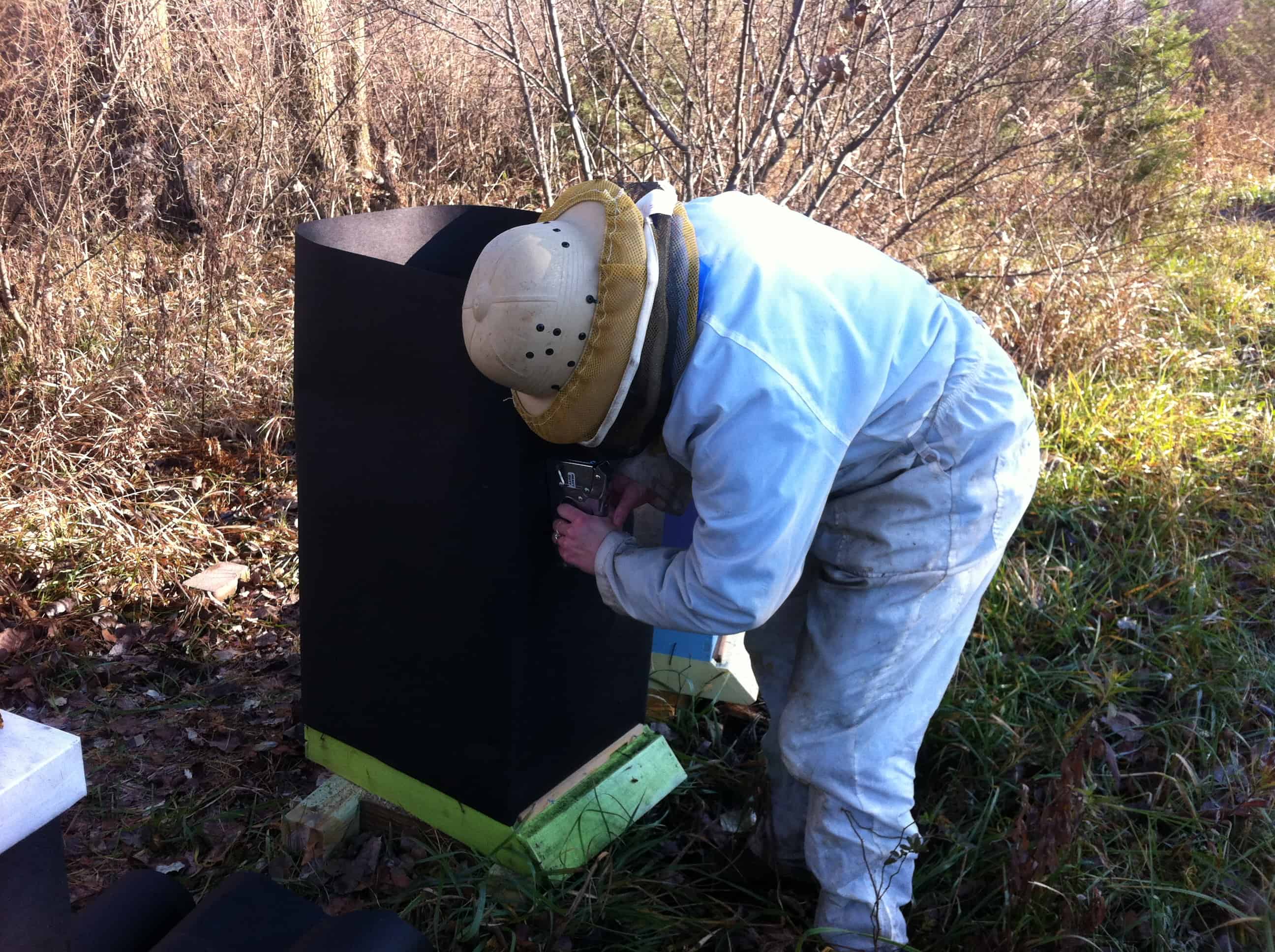 Wintering Bees in Michigan
