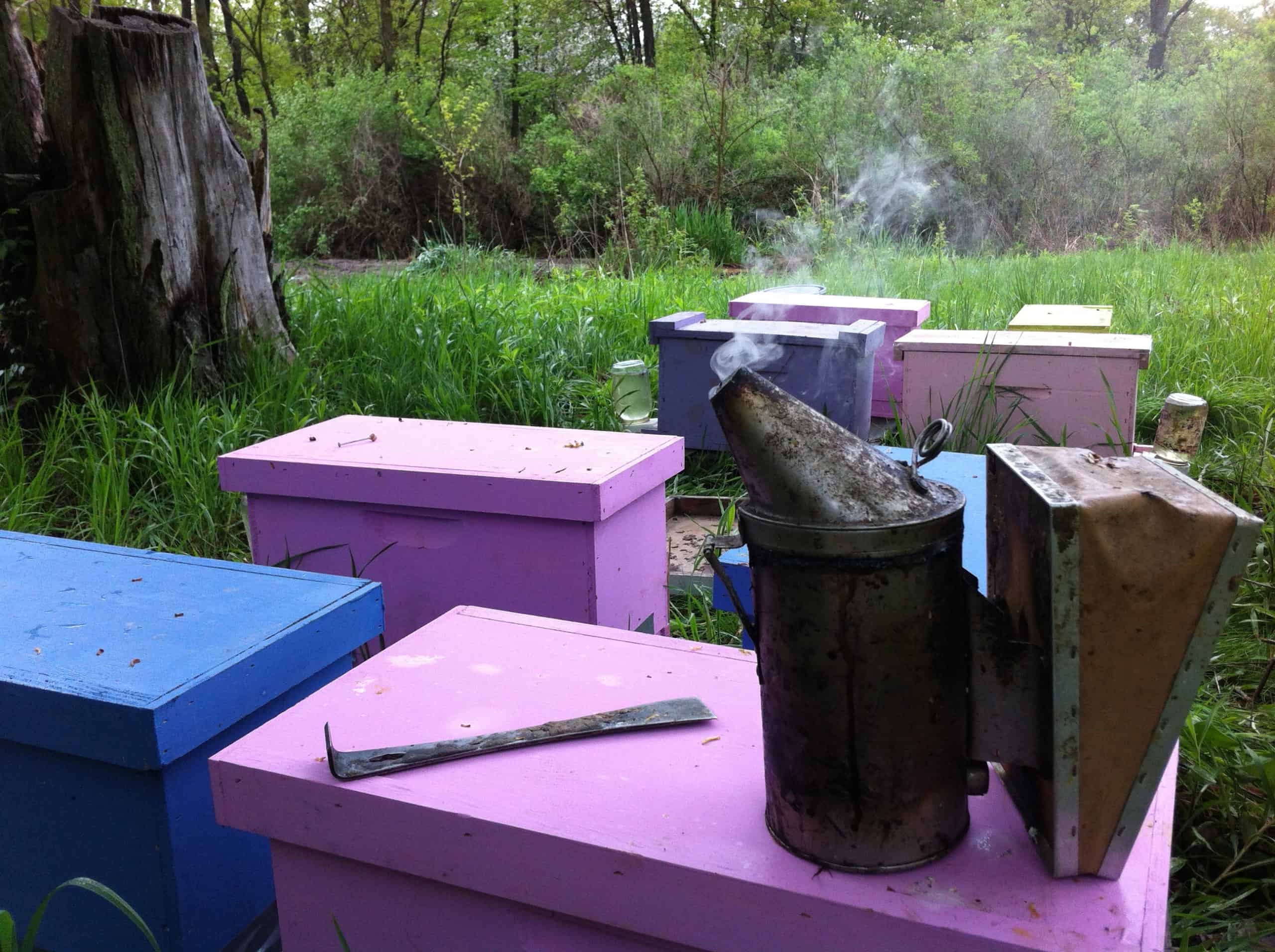 Tutorial (3): Beekeeping Equipment