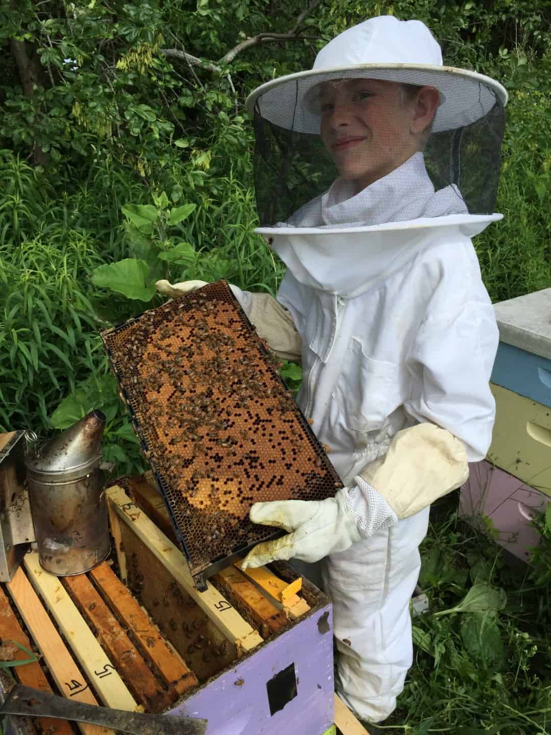 What Bees and Their Keepers Do in the Spring | Hudsonville Honey