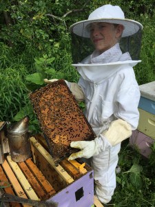 Luke in bee suit holding a frame of brood.