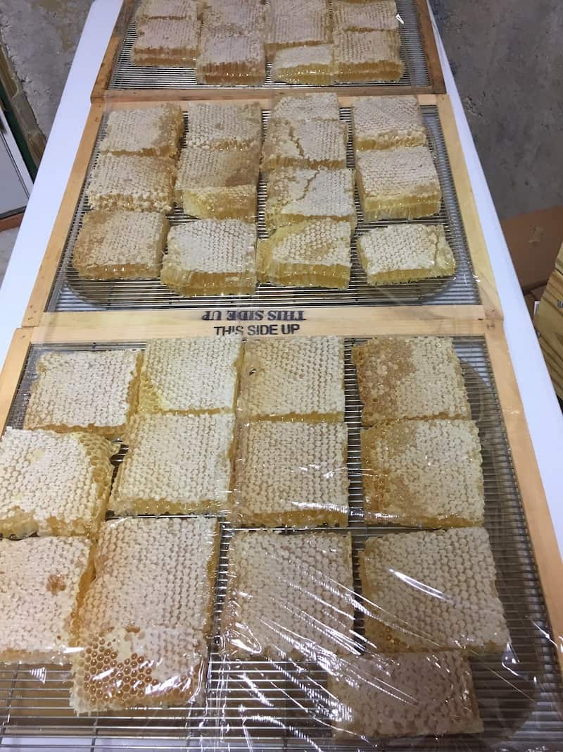 cut comb honey