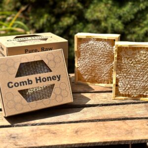 vintage comb honey section