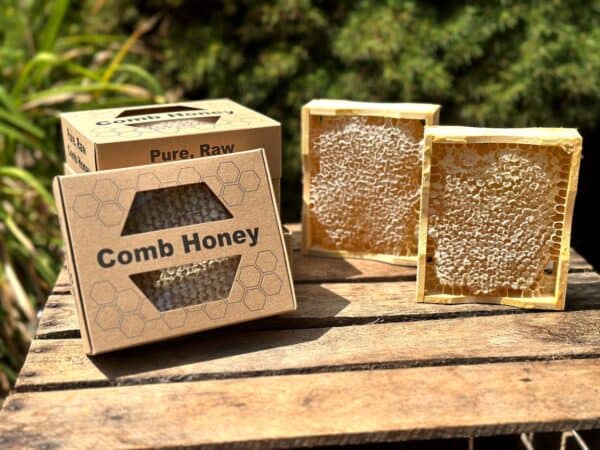 vintage comb honey section