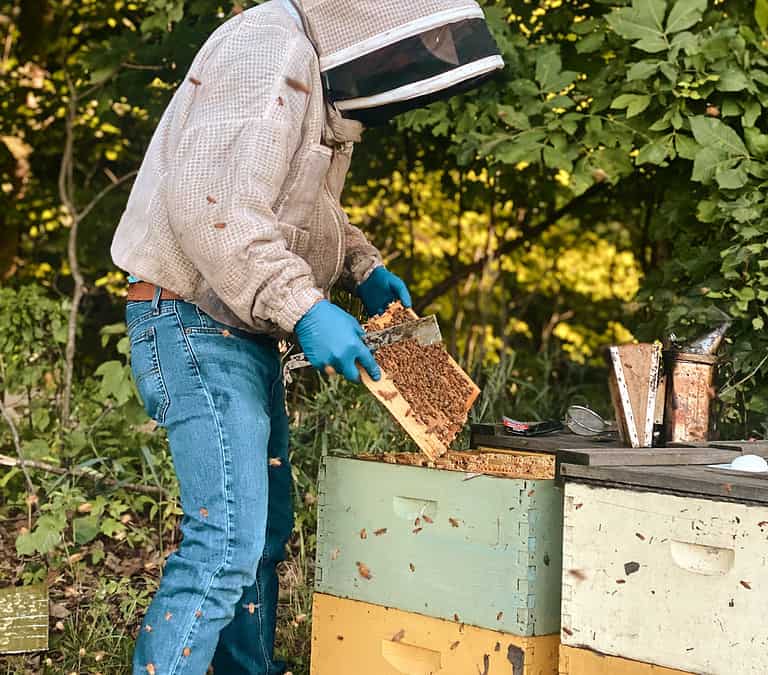 5 Compelling Reasons to Purchase Honey Directly from the Beekeeper