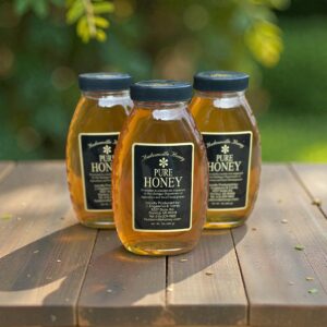 Raw Michigan Wildflower Honey - 16oz Jar (3 Pack)