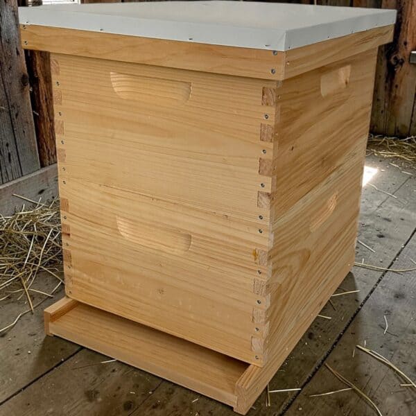 Photo of a double deep complete 10 frame hive.