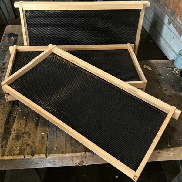 Photo of some deep frames with black foundation.